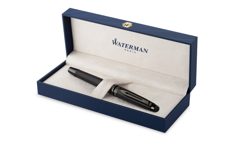 Waterman Expert Metallic Fountain Pen