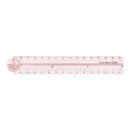 Midori 30cm Multi Ruler