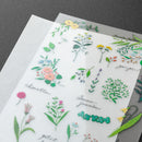 Midori Journaling Transfer Sticker - Flowering Plants 2632