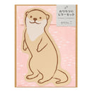 Midori Die-cut Letter Set - Otter 927