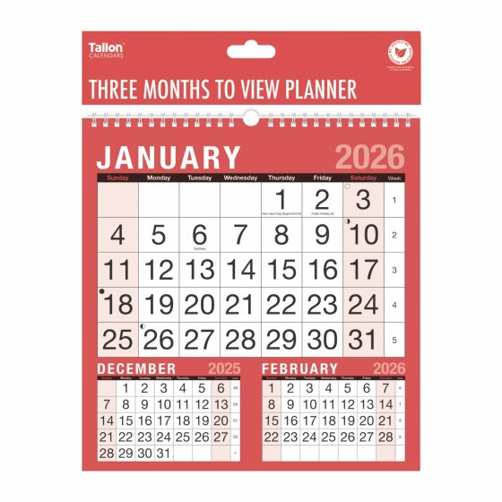 Tallon Calendar Three Months To View Planner 2026
