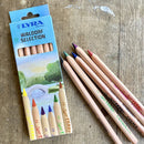 Lyra Super Ferby Waldorf Selection Giant Triangular Coloured Pencils