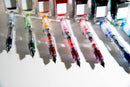 Pilot Prera Fountain Pen