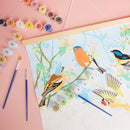 Natural History Museum Paint By Numbers - Garden Birds