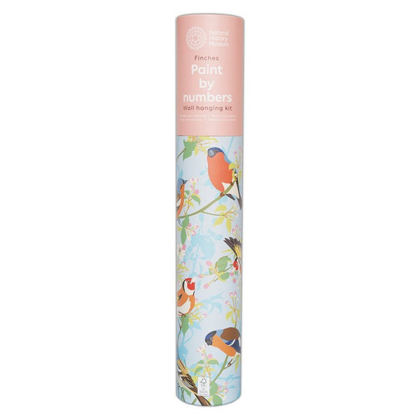 Natural History Museum Paint By Numbers - Garden Birds