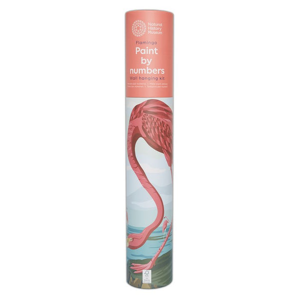 Natural History Museum Paint By Numbers - Flamingo