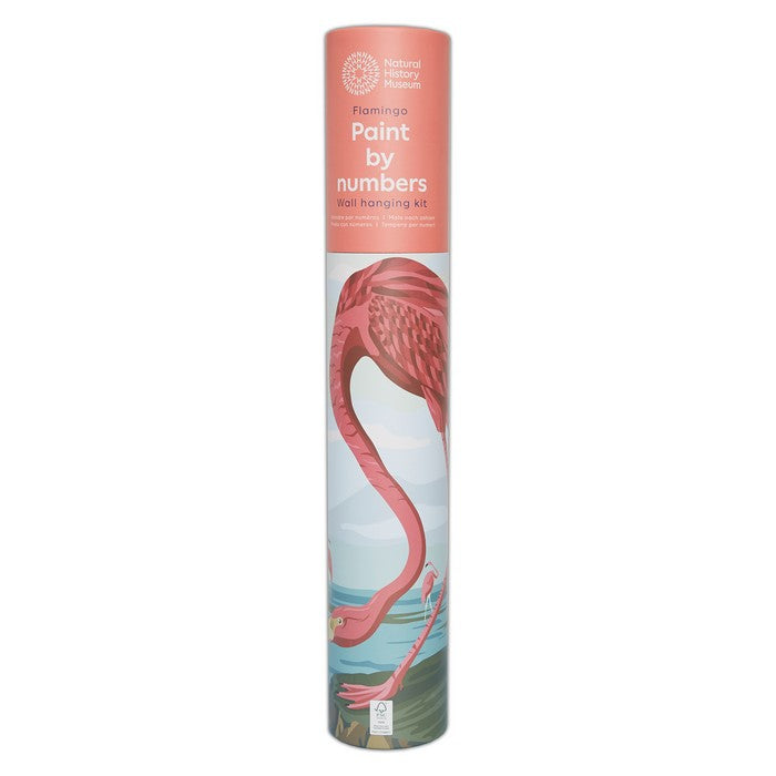 Natural History Museum Paint By Numbers - Flamingo