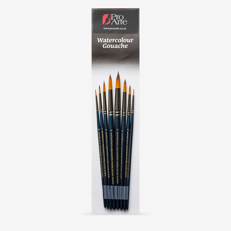 Pro Arte Masterstroke Aquamarine Watercolour Brush Set (Wallet)