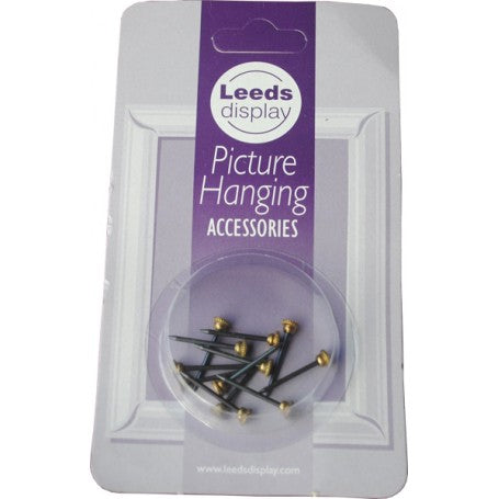 Leeds Display Hardened Picture Pins (12 Pack)