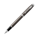 Parker IM Fountain Pen