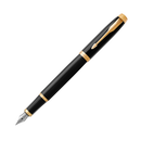 Parker IM Fountain Pen