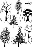 Card-io Clear Stamps - Woodland Walks