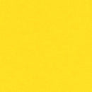 Daler-Rowney Canford Paper A4