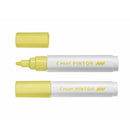 Pilot Pintor Marker Bullet Tip - Medium Line