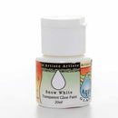 Artiste Glass Paint (20ml) - Aquaglass